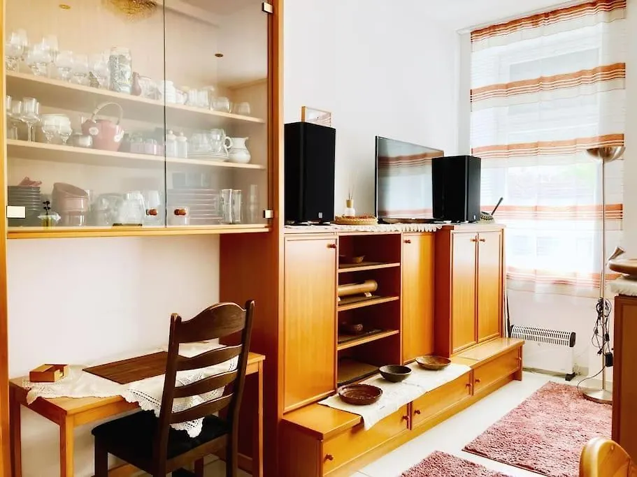 Vintage Charm Near Main Station Apartment Vienna